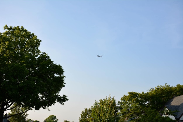 空を飛ぶ飛行機の低角度の景色
