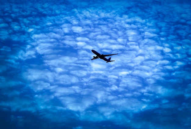 Foto vista a basso angolo di un aereo che vola nel cielo