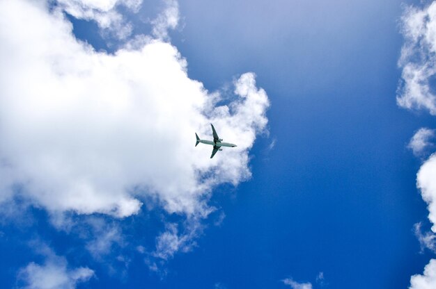 空を飛ぶ飛行機の低角度の景色