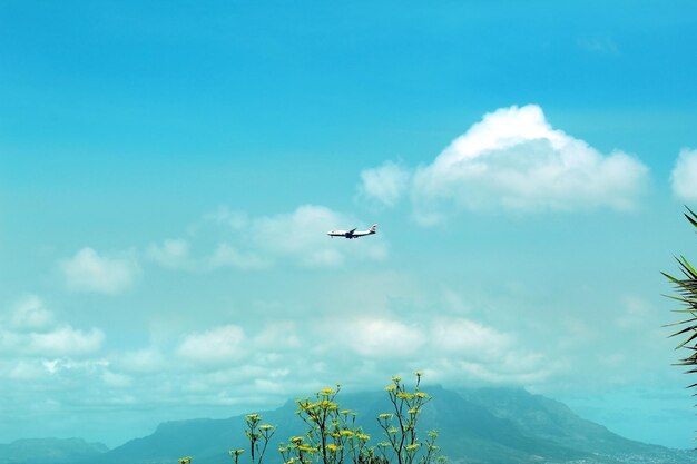 Low angle view of airplane flying in sky