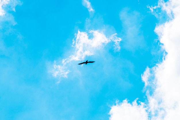 空を飛ぶ飛行機の低角度の景色