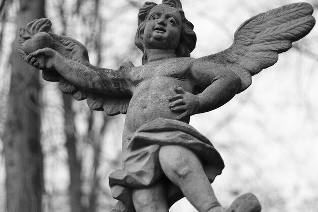 Photo low angle view of angel statue