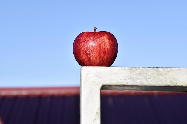 Photo low angle view of apple against blue sky