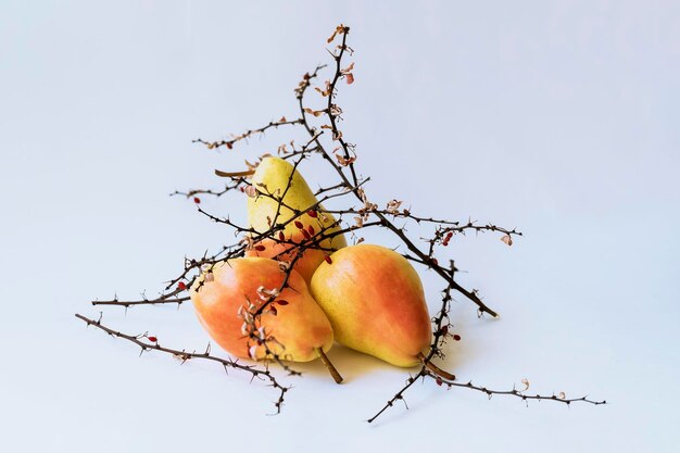 Photo low angle view of apple on tree against sky