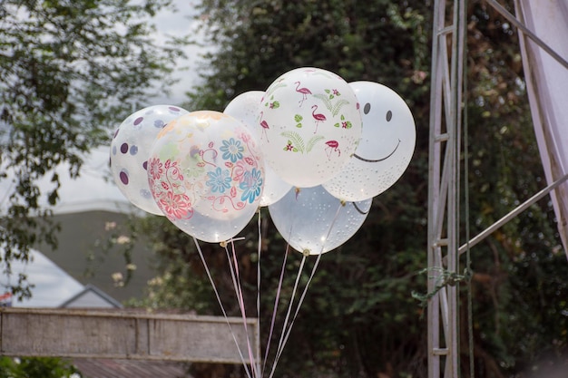 Photo low angle view of balloons on plant