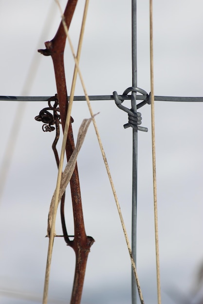 Photo low angle view of barbed wire against sky