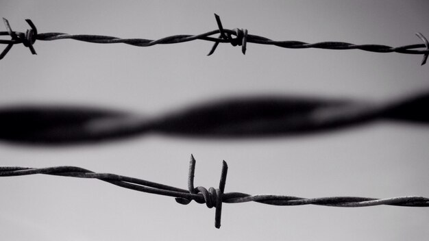 Low angle view of barbed wire against sky