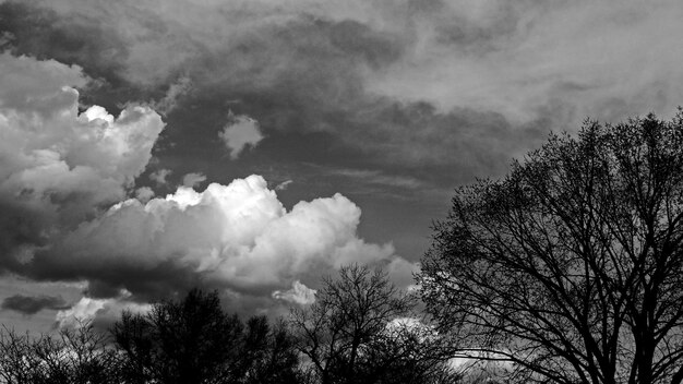 Low angle view of bare tree against cloudy sky