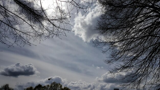 Low angle view of bare tree against sky