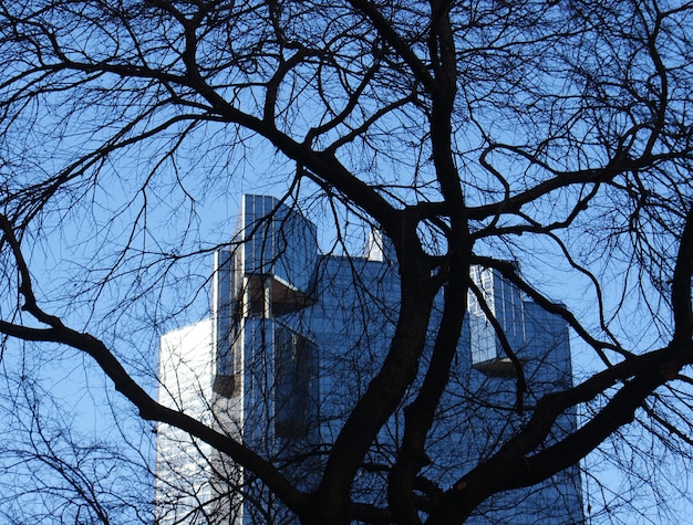 Low angle view of bare tree against sky