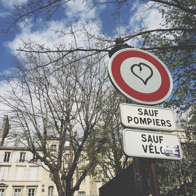 Foto vista ad angolo basso degli alberi nudi contro l'edificio