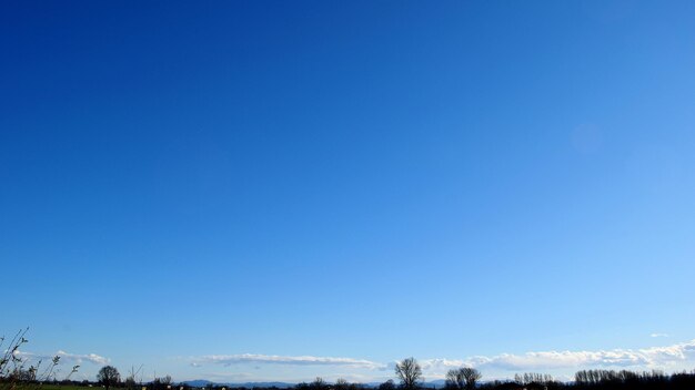 Low angle view of bare trees against clear blue sky