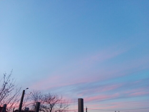 Low angle view of bare trees against clear sky