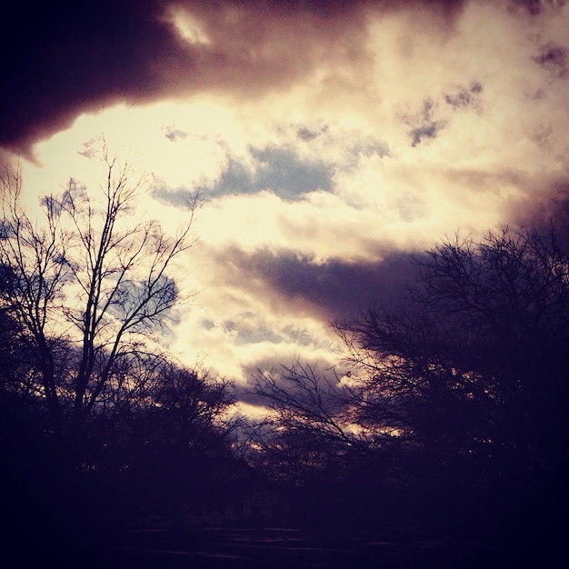 Photo low angle view of bare trees against clouds