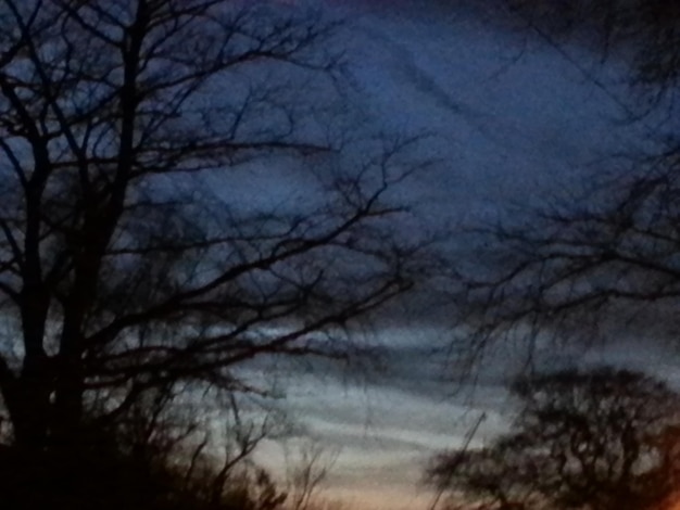 Photo low angle view of bare trees against cloudy sky