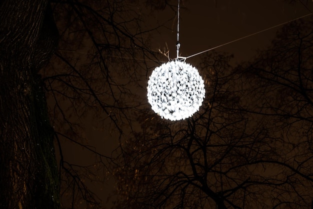 Foto vista ad angolo basso di alberi nudi contro il cielo notturno