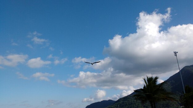 Low angle view of bird flying against cloudy sky