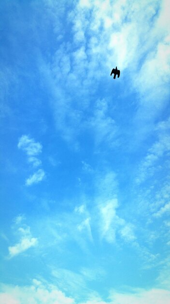 Low angle view of bird flying against sky