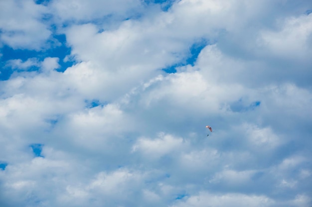 Foto veduta a bassa angolazione di un uccello che vola nel cielo