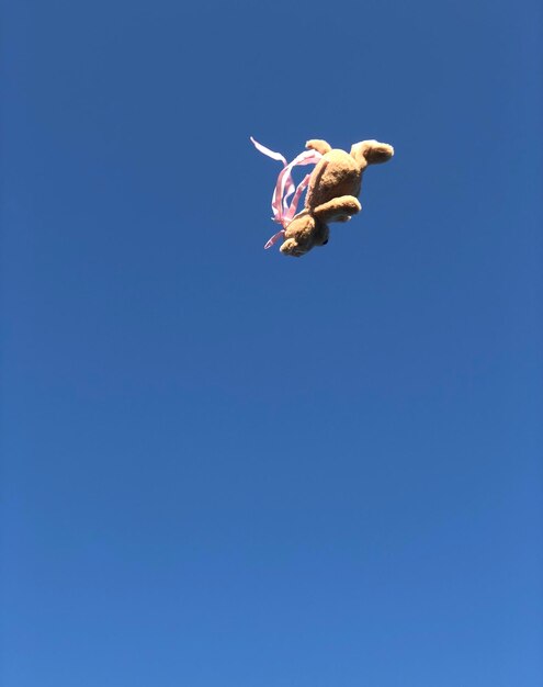 Low angle view of a bird flying