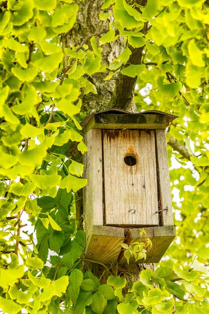 Low angle view of bird house amid plants