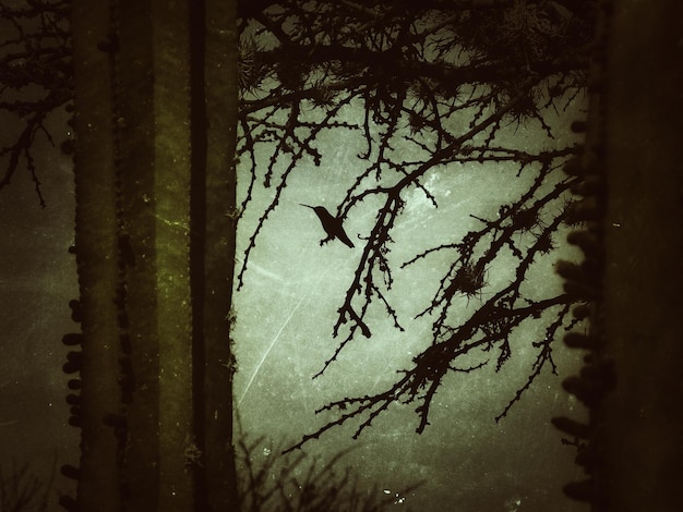 Low angle view of bird perching on branch