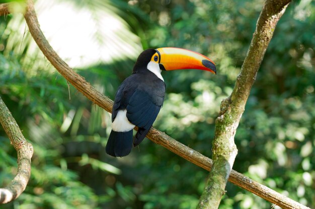 Low angle view of bird perching on branch