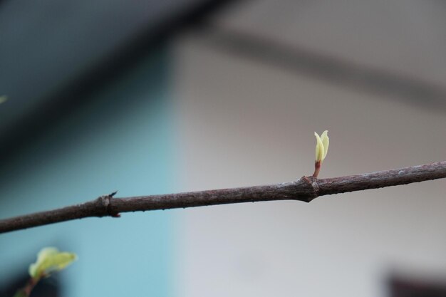 Low angle view of bird perching on branch