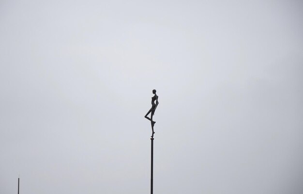 Photo low angle view of bird perching on pole against clear sky