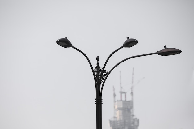 Photo low angle view of bird perching on street light against sky