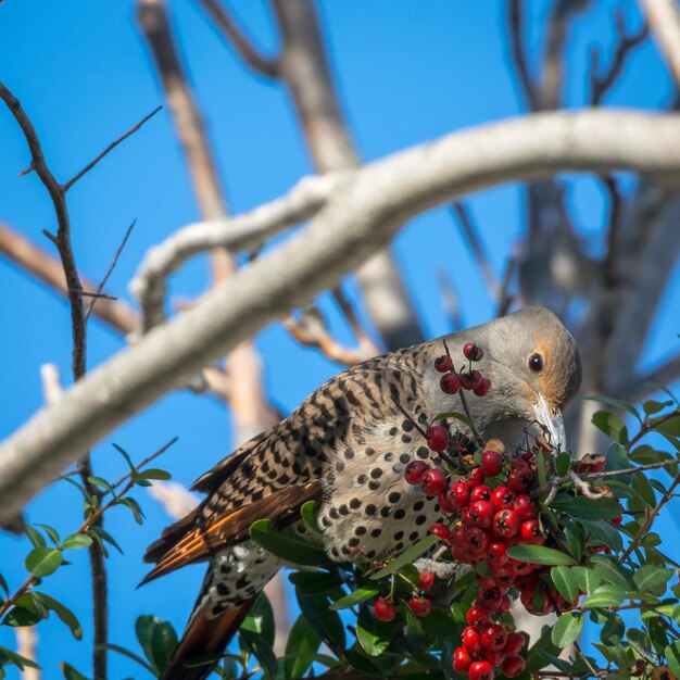 Low angle view of bird perching on tree