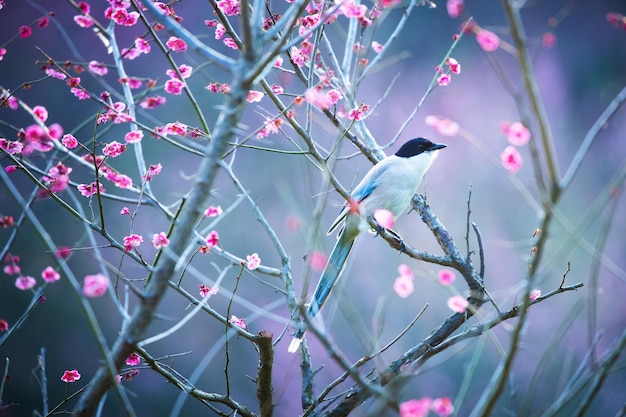 low angle view of bird perching on tree