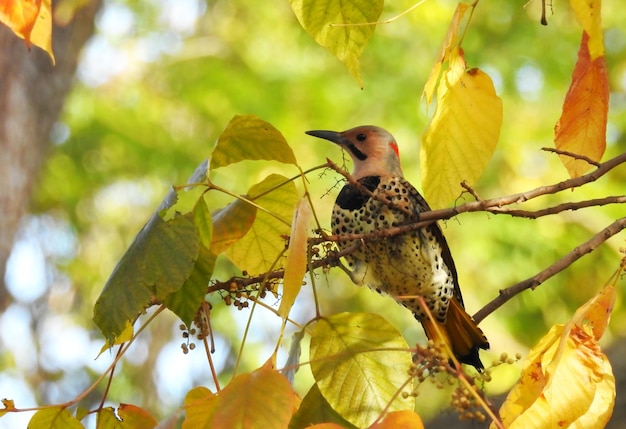 Low angle view of bird perching on tree