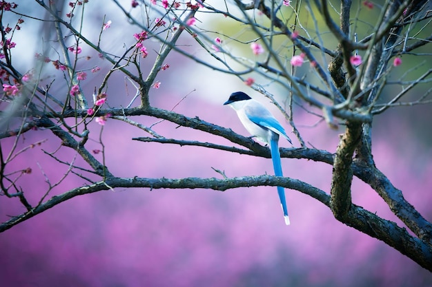 Low angle view of bird perching on tree