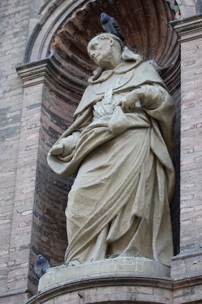 Photo low angle view of bird on statue