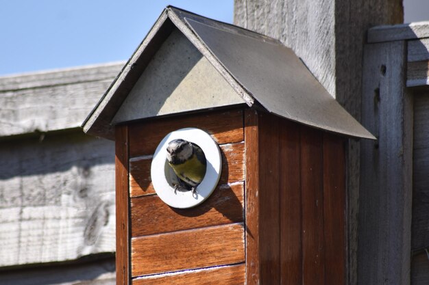 Low angle view of birdhouse on building against sky