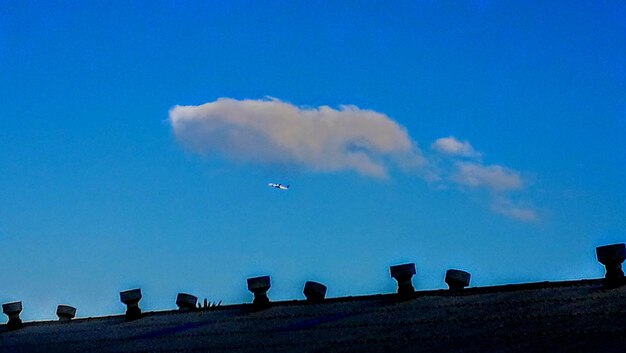 Low angle view of birds against sky