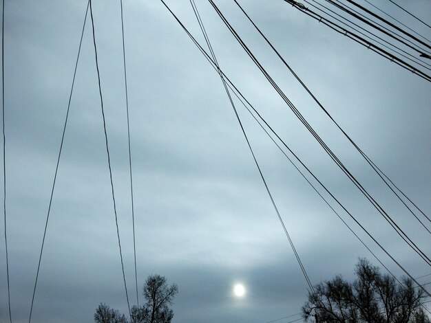 Low angle view of birds cables against sky