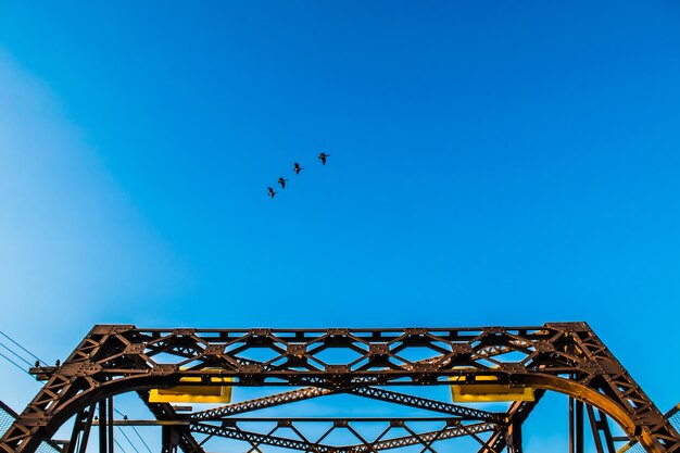 Low angle view of birds flying against blue sky