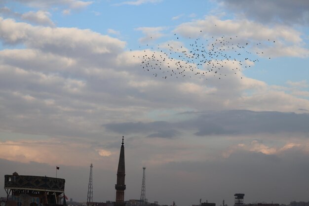 Foto vista ad angolo basso di uccelli che volano contro il cielo