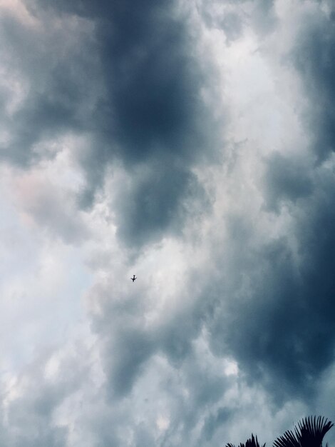 Low angle view of birds flying in sky