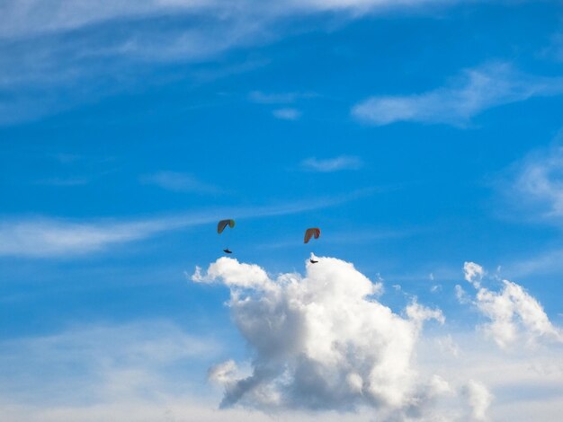 Low angle view of birds flying in sky