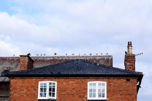 Photo low angle view of birds perching on building roof against sky