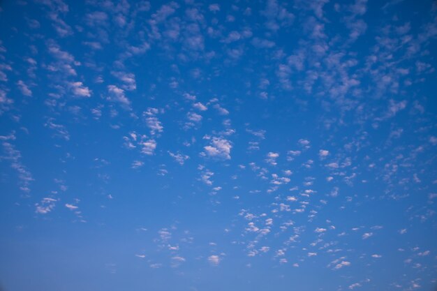 Foto vista a basso angolo del cielo blu