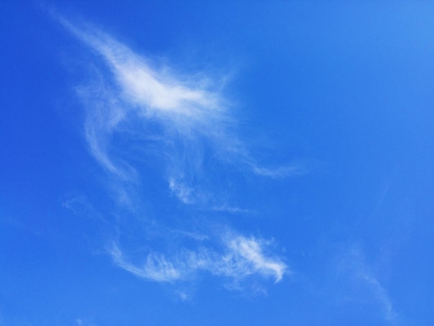 Foto vista a basso angolo del cielo blu