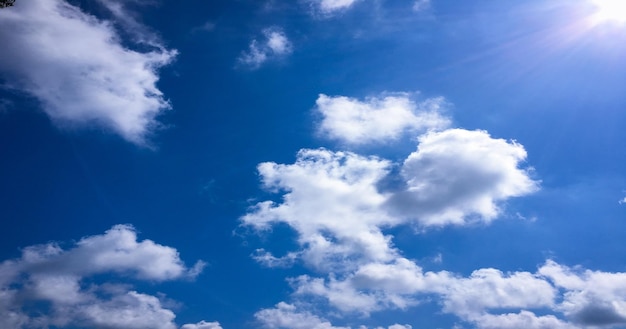 Foto vista a basso angolo del cielo blu