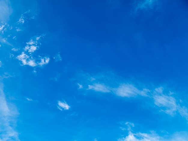 Foto vista a basso angolo del cielo blu