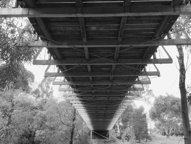 Low angle view of bridge in forest