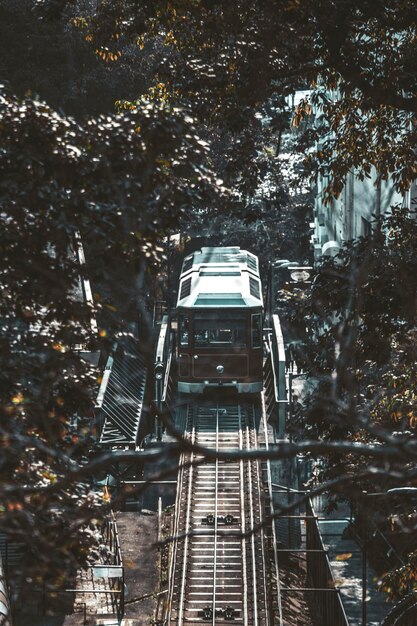 Photo low angle view of bridge in forest