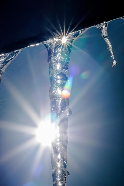 Foto vista a basso angolo del sole luminoso